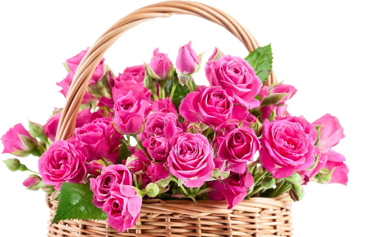 pink-roses-in-a-basket-17223.webp