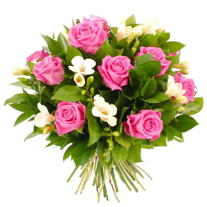 pink-roses-.jpg