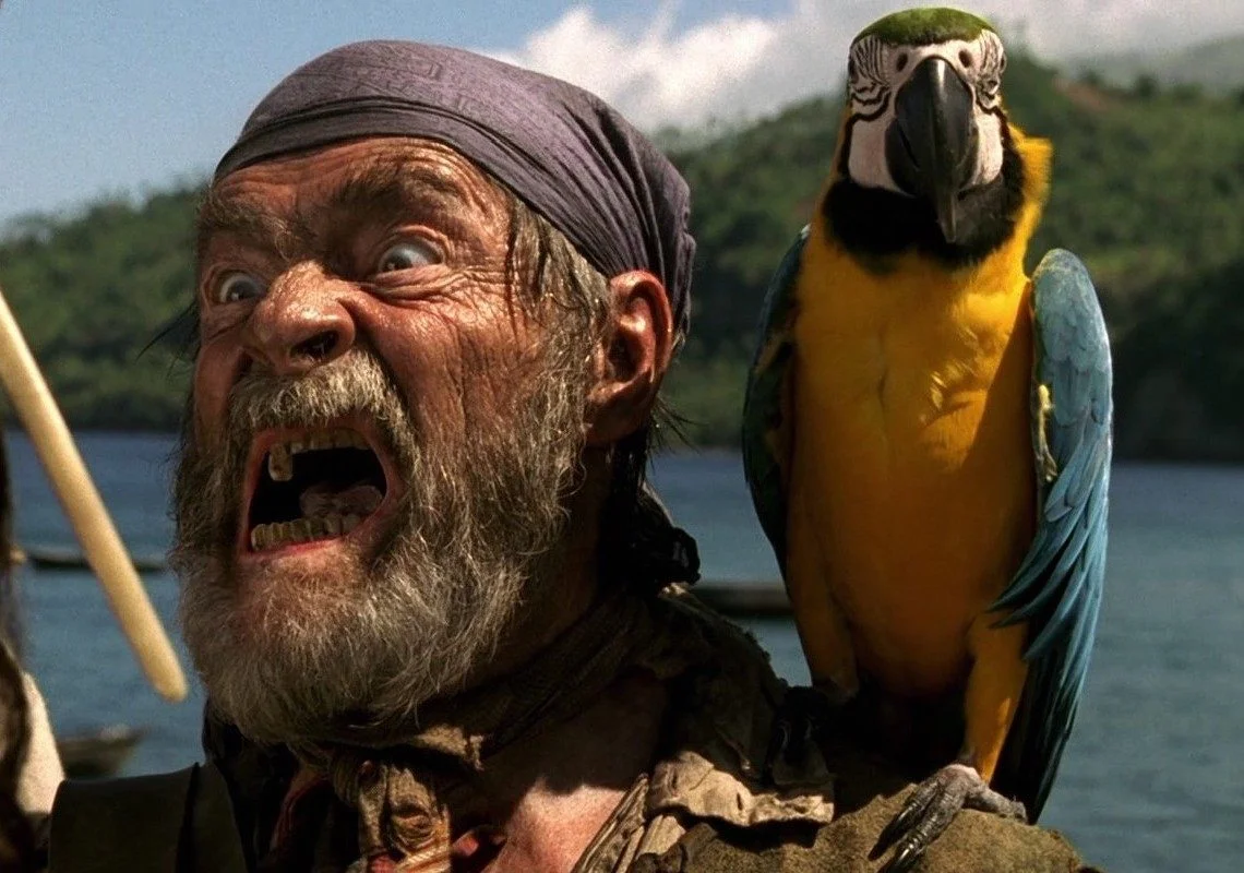Pirate-and-Parrot.webp