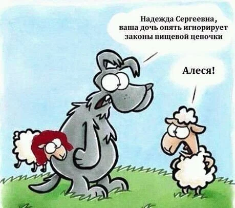 Пищевая цепочка.webp