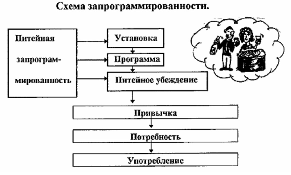 Питейная запрограммированность.jpg