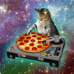 pizzacat-gif-1.gif