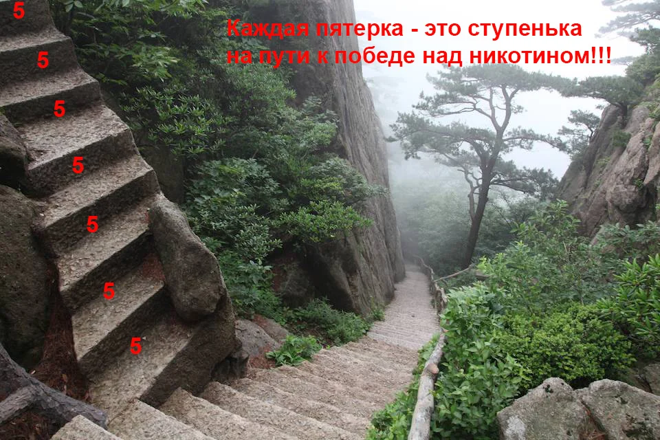 пятерки.webp