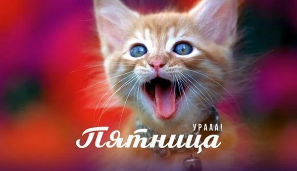 пятница 1.webp