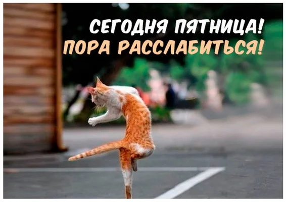 пятница 15.webp
