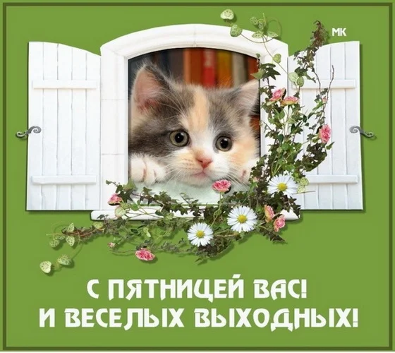пятница 3.webp