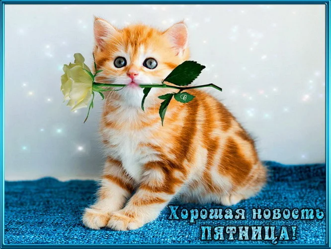 пятница 4_p1.webp