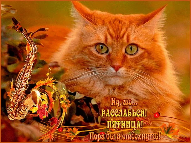 пятница 6_p01.webp