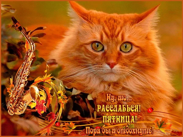 пятница 6_p01.webp