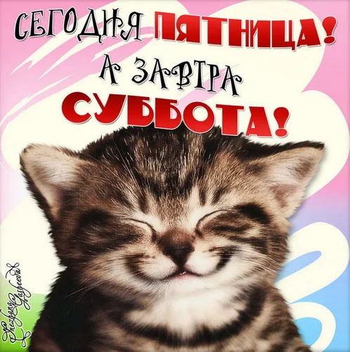 пятница 7.webp