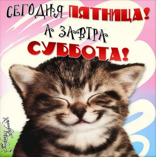 пятница 7.webp