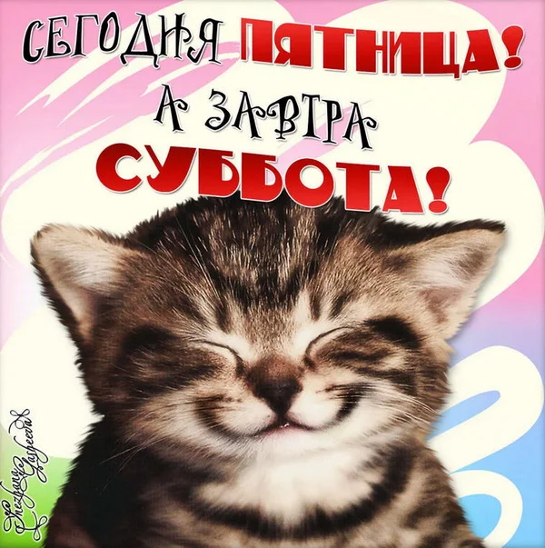 пятница 7.webp