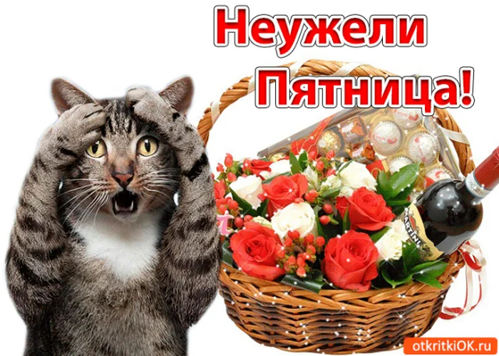 пятница 9.webp