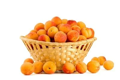 pL4cv.webp