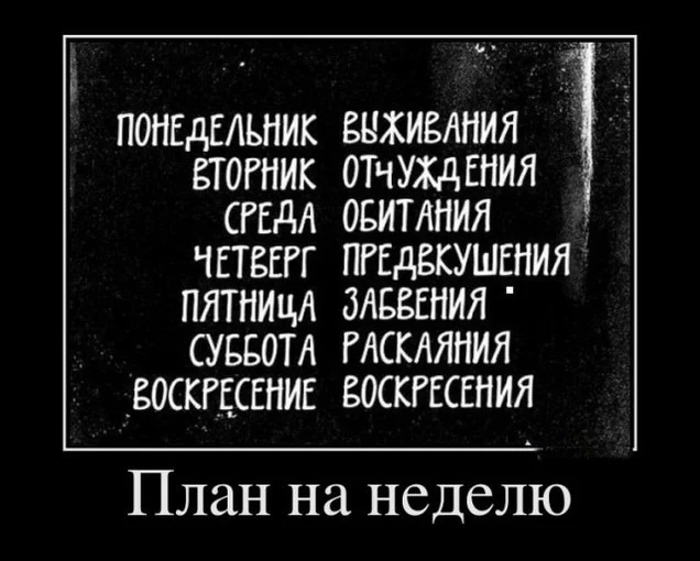 plan_na_nedelyu.jpeg.webp
