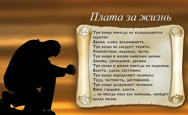 plata_za_zhizn.webp