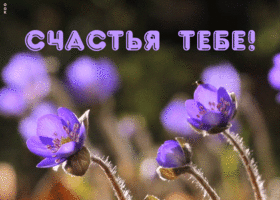pleykast-schastya-tebe-57.gif