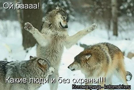 pm.webp