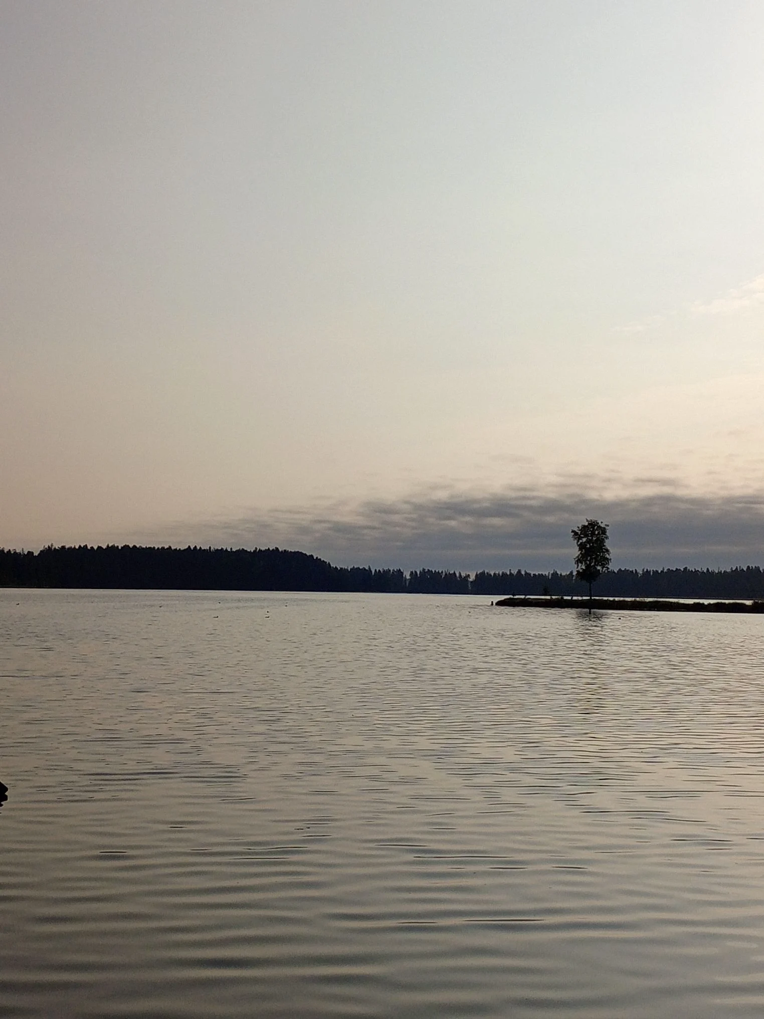 pm_1738126159109_cmp.webp