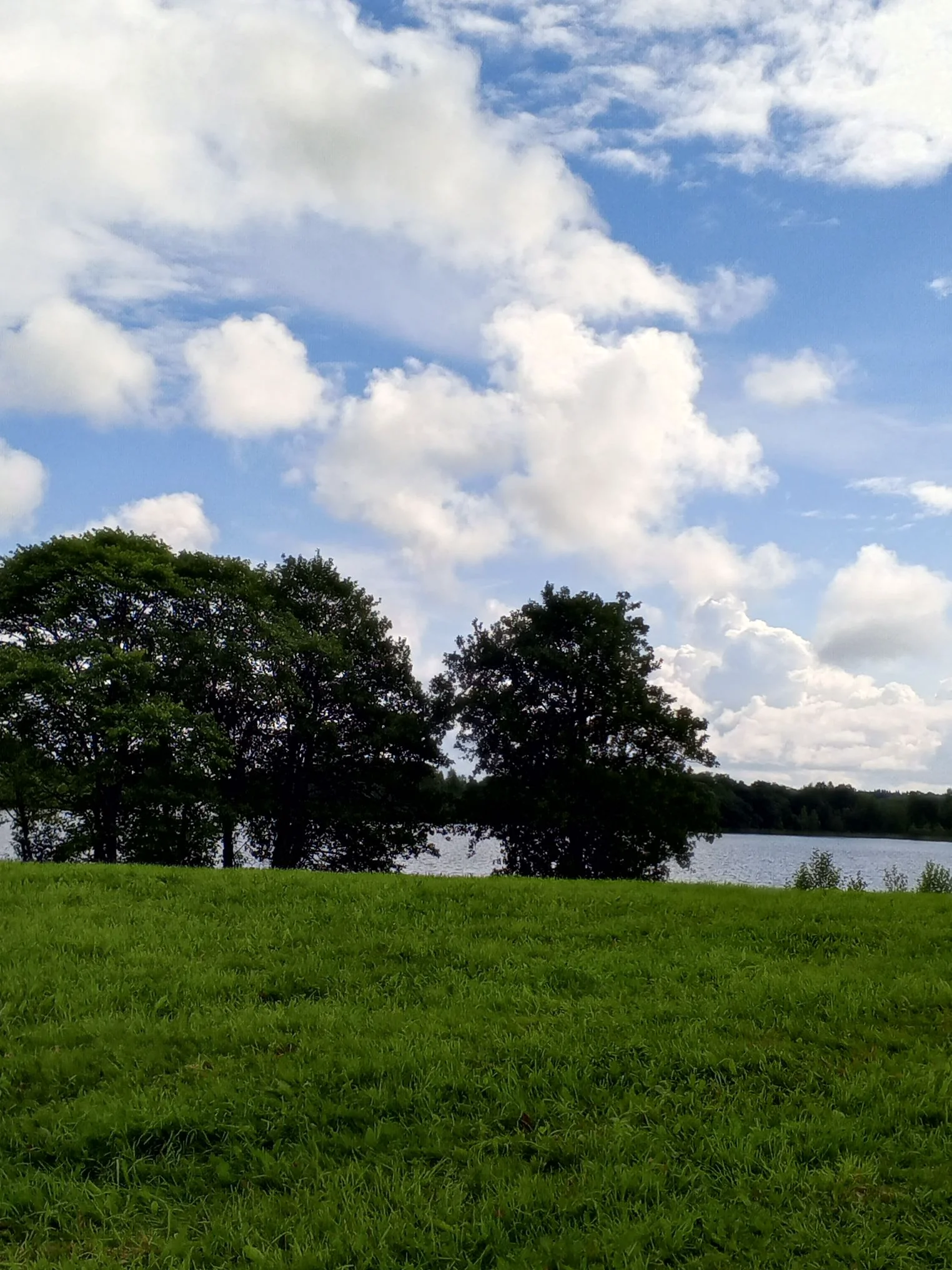 pm_1738126235962_cmp.webp