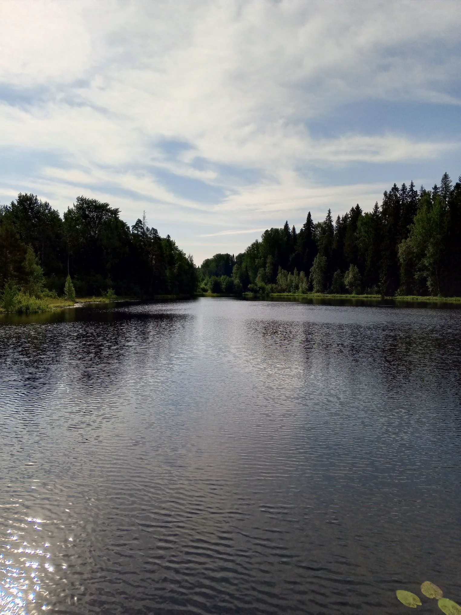 pm_1738126331663_cmp.webp