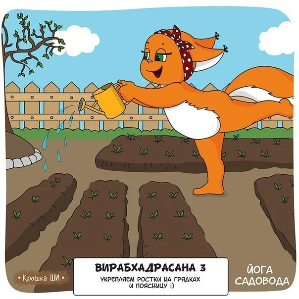 pmHyIZf_5N4.webp