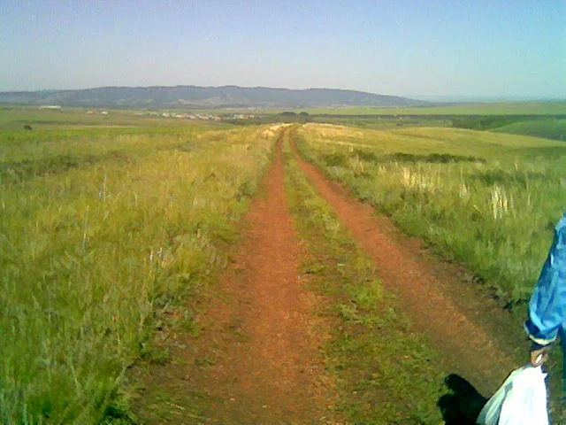 По дороге в деревню.webp