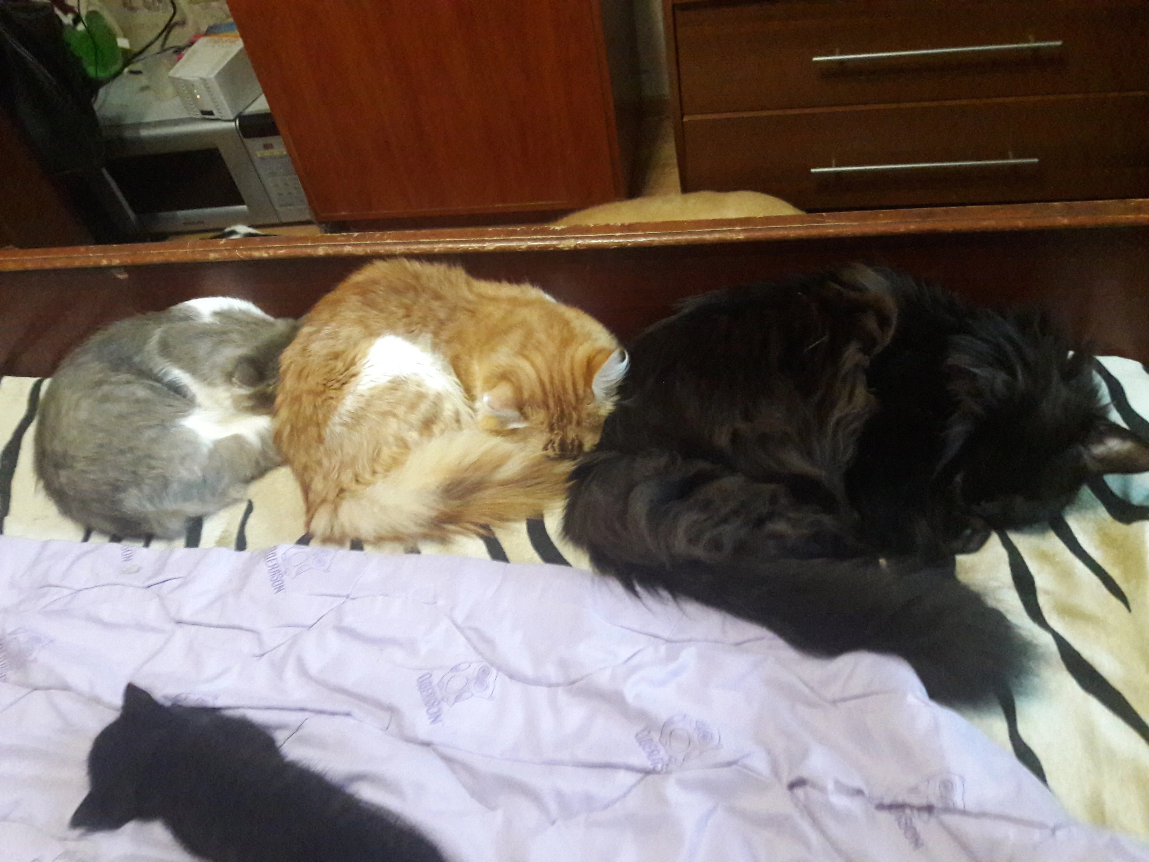 По росту.webp