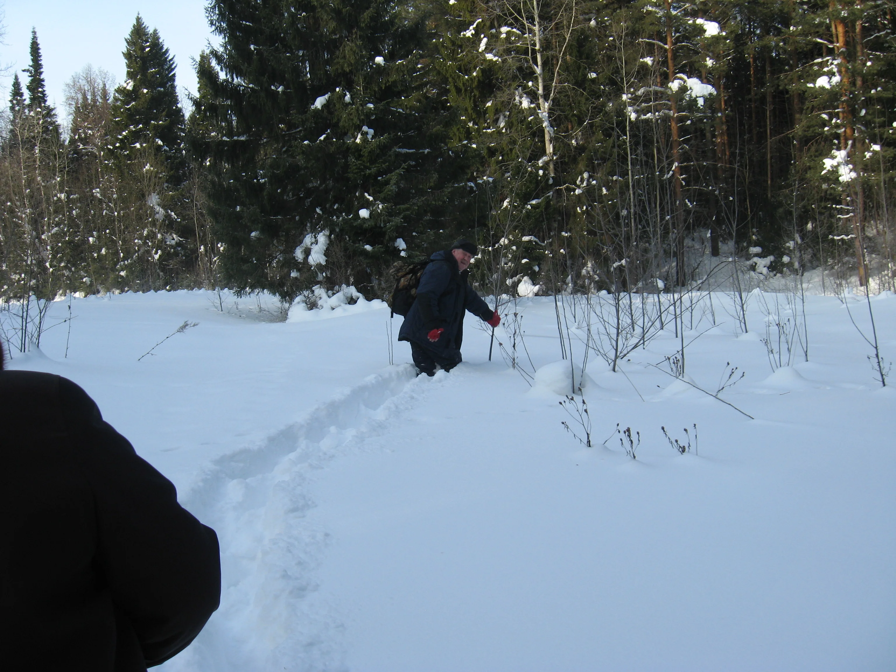 по снегу.webp