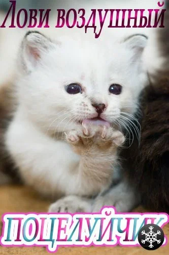 Поцелуйчик для Лори.webp