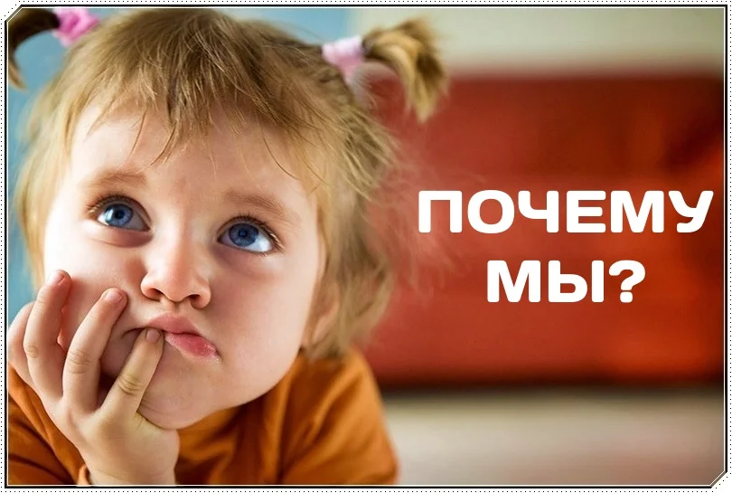 почему мы.webp