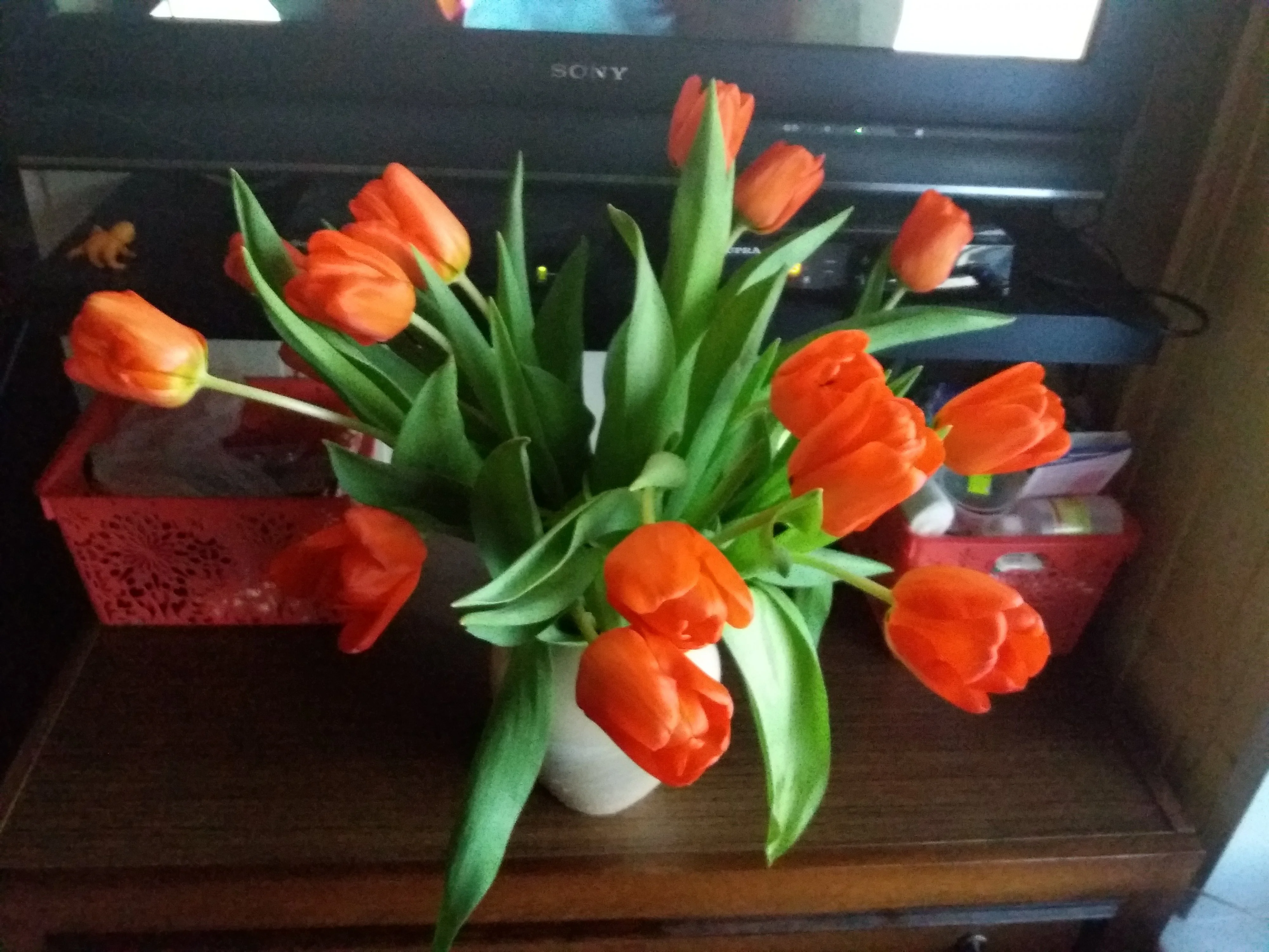 подарок Лю.webp