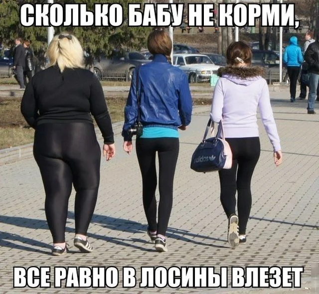 podborka_dnevnaya_37 (1).webp