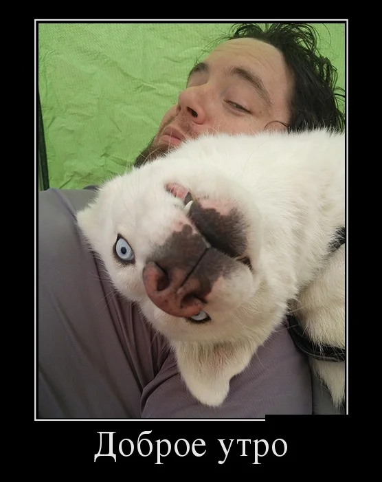 podborka_luchshikh_demotivatorov_246_008.webp