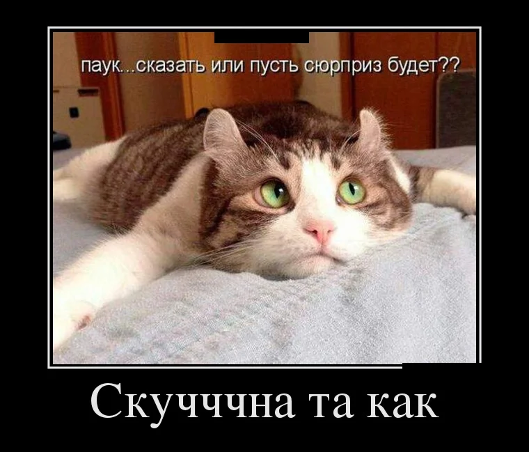 podborka_luchshikh_demotivatorov_248_049.webp