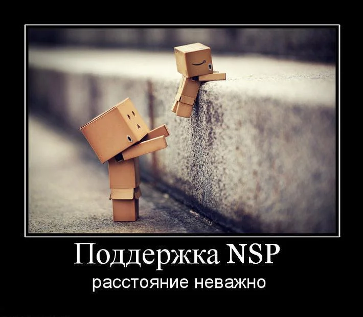 поддержка NSP.webp