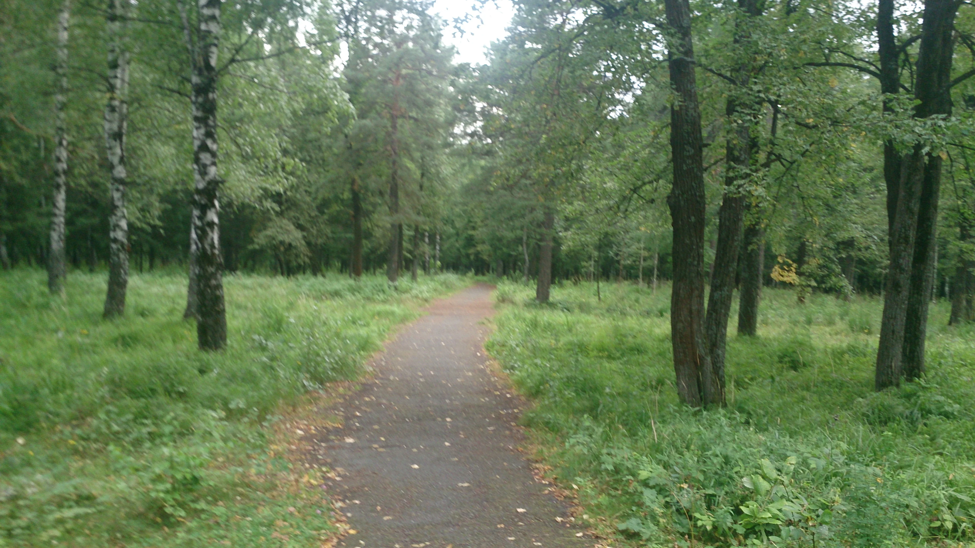 Подъем большого роллерного круга (вид сверху).webp