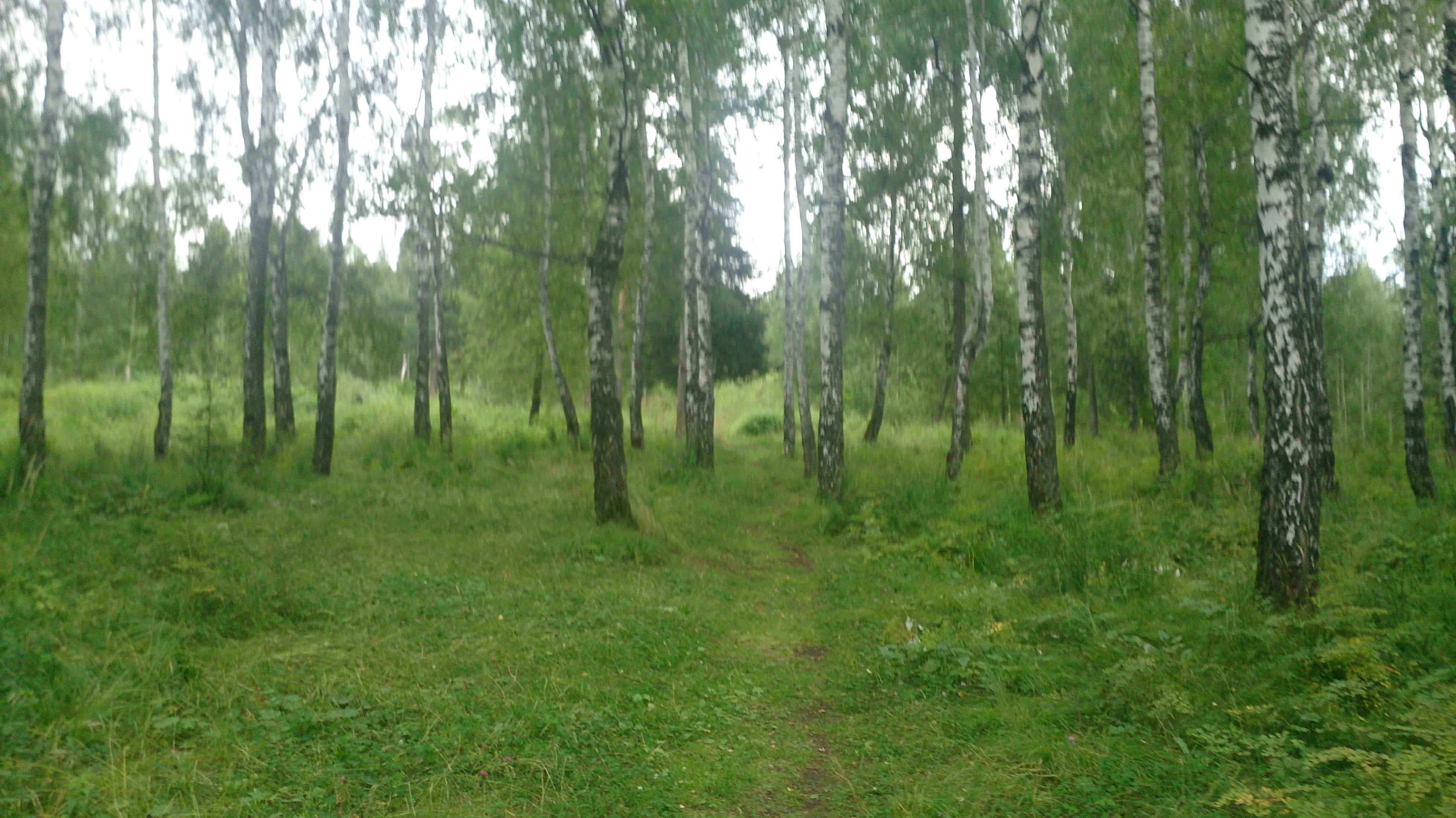 Подъем на трехскалку №2.webp