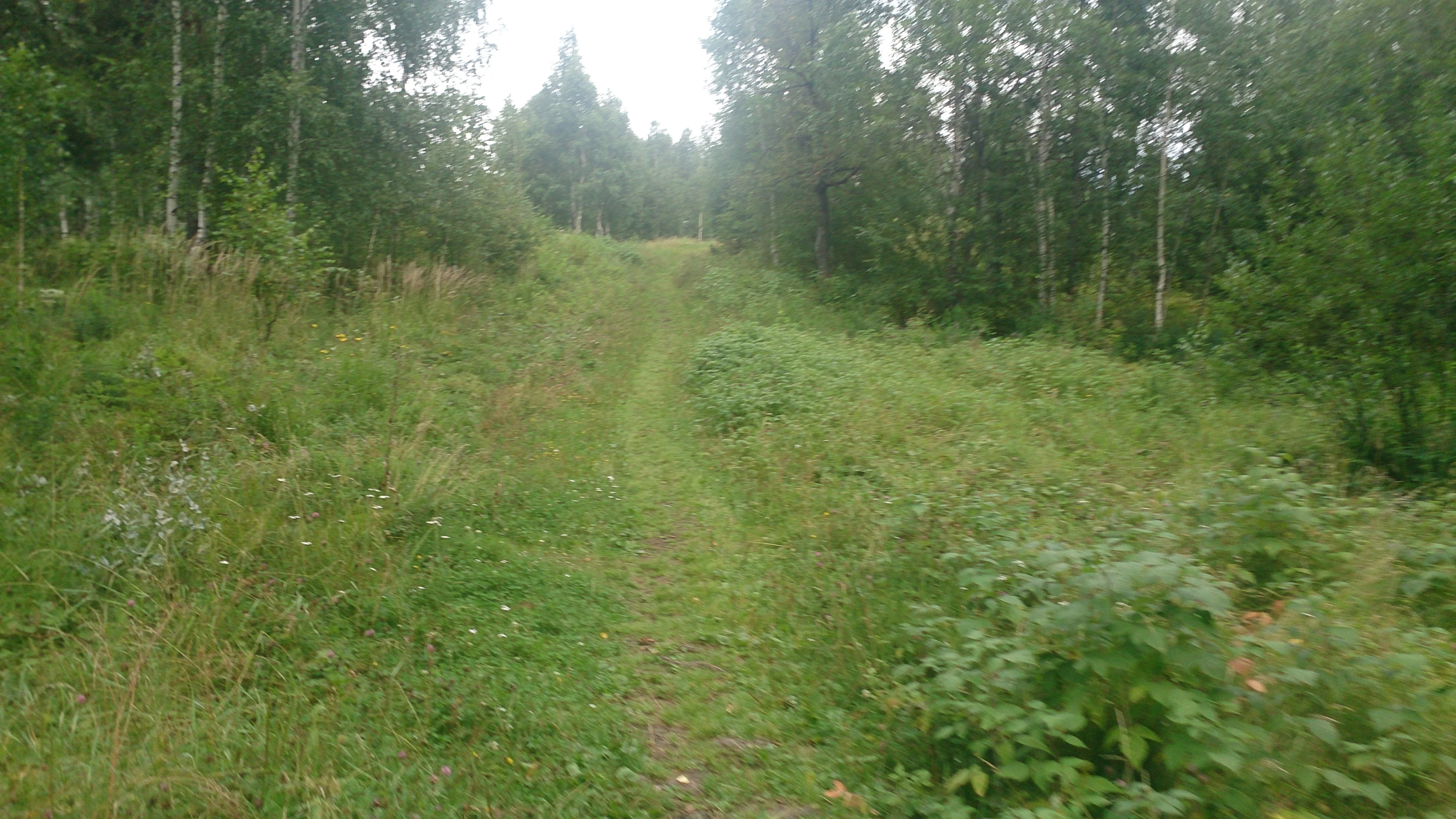 Подъем на трехскалку №3.webp