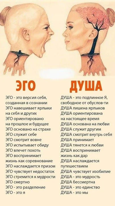 подлинность эго и душа.webp