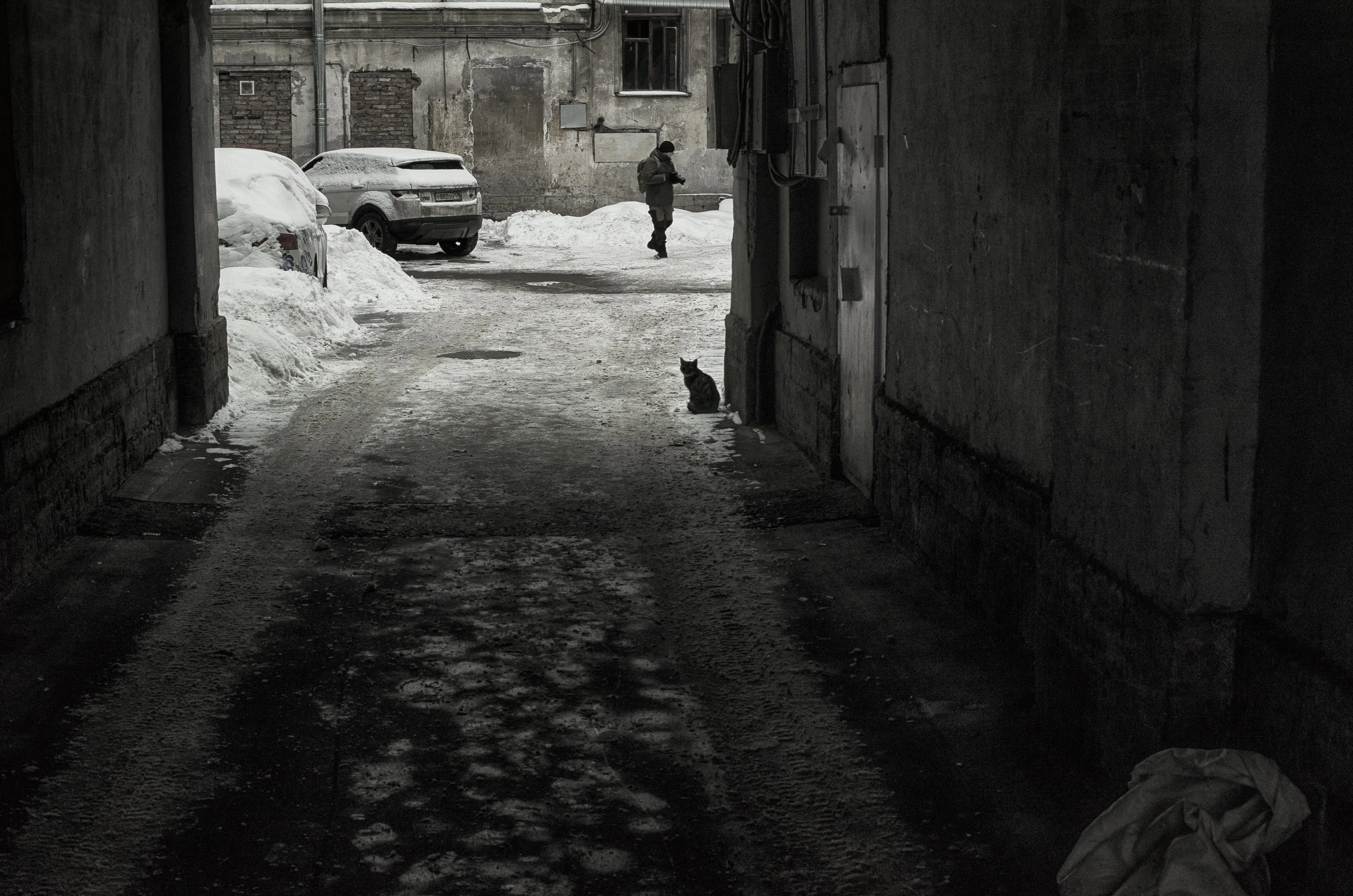 подворотни зимой.webp