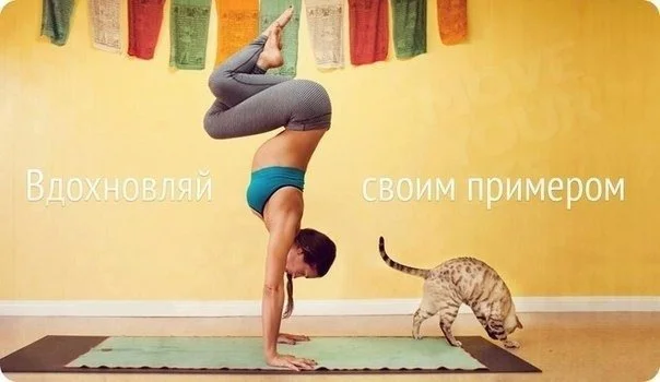 pOfeyTacTsM.webp