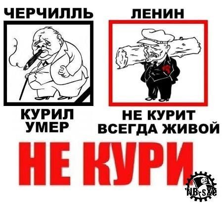 политота-b-курение-41466.jpeg