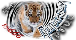 Полосатый рейс Ksu666.webp