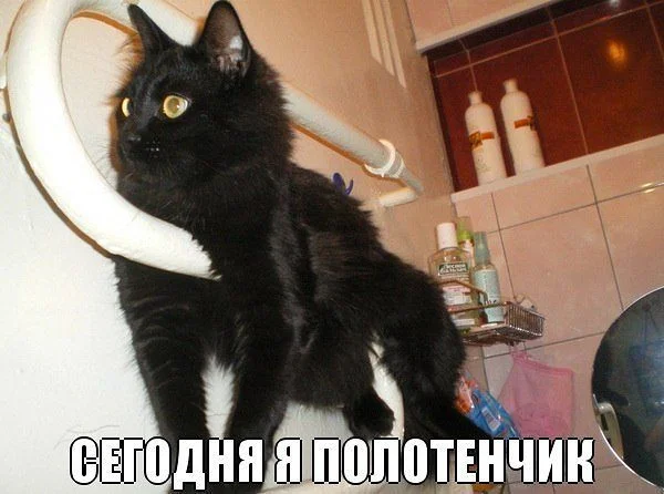 полот=.webp