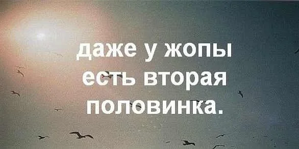 Половинка 2.webp