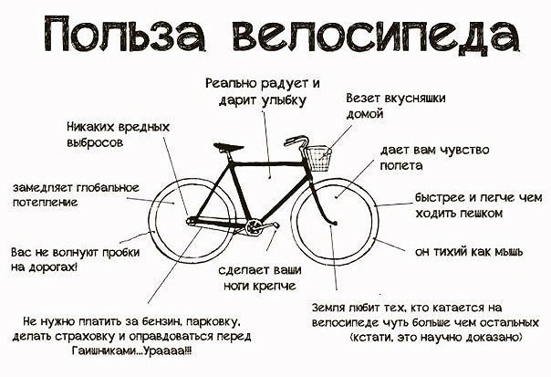 polza-velosipeda.jpg