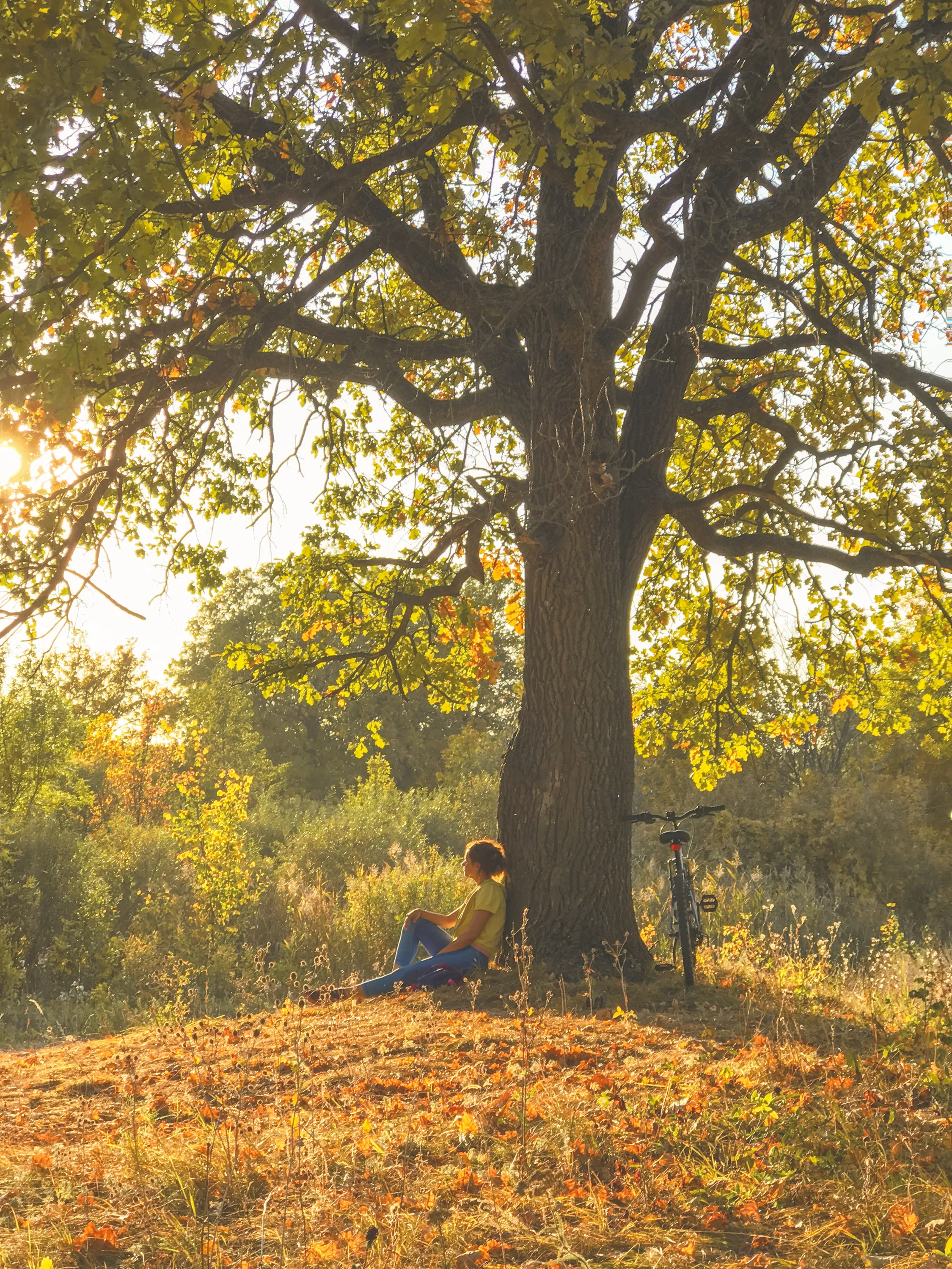  Пользовательское имя  277.webp