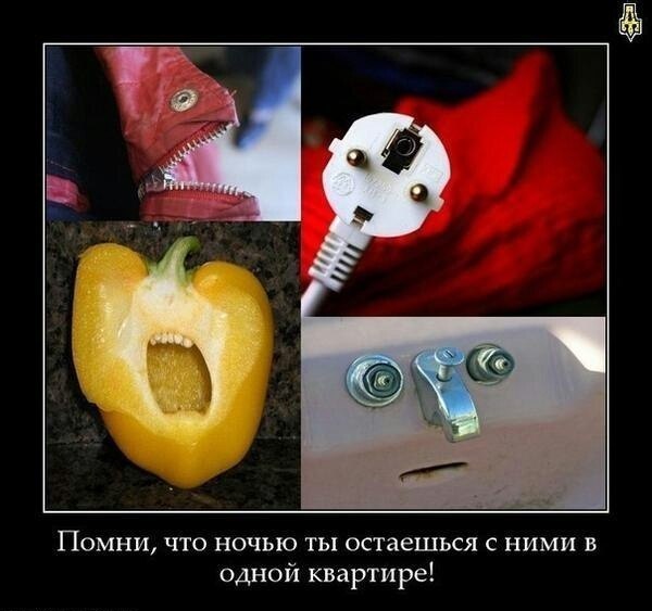 помни, что ночью ты остаешься с ними в одной квартире.jpg