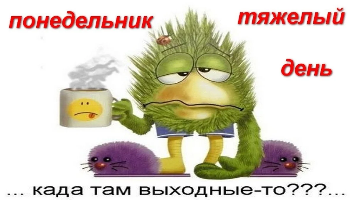 понедельник 1.webp